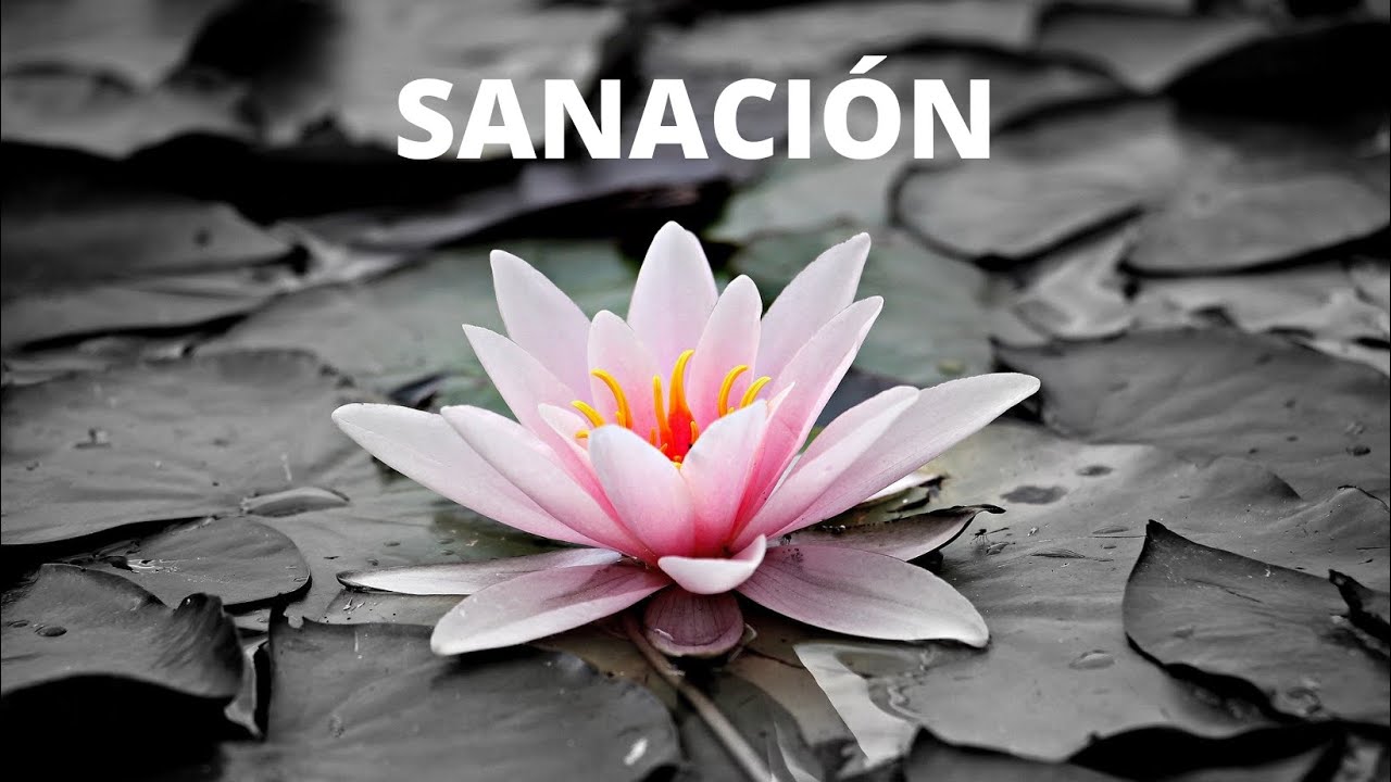 💙 MEDITACIÓN GUIADA PARA LA SANACIÓN | Respirando Azul Clarito