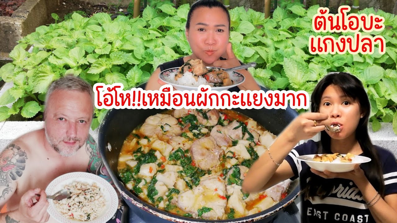 แกงปลาฉลามใส่ใบโอบะ​ ขึ้นเป็น​ดงงามมากๆ.Ep79|2024