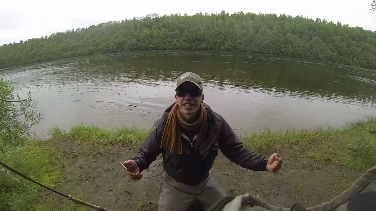 Atlantic Salmon