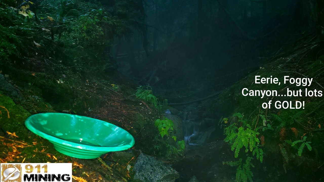 Finding Gold Pickers On An Eerie Creek!