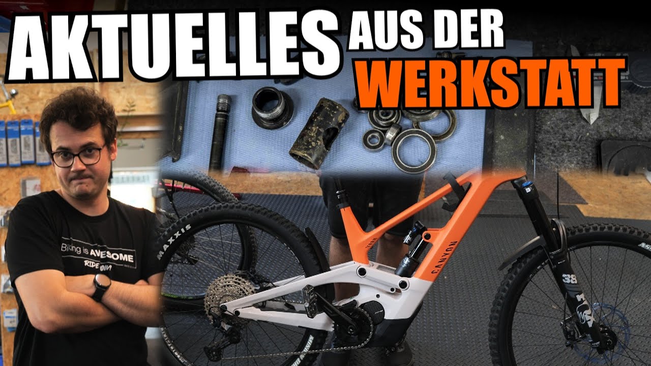 Was ist aktuell in der Werkstatt los? Canyon Torque ON + Canyon Sender Projekt + OneUp EDC Tool