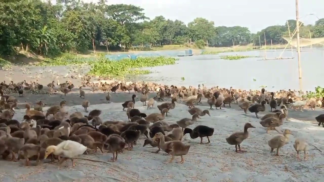 February 7, 2026