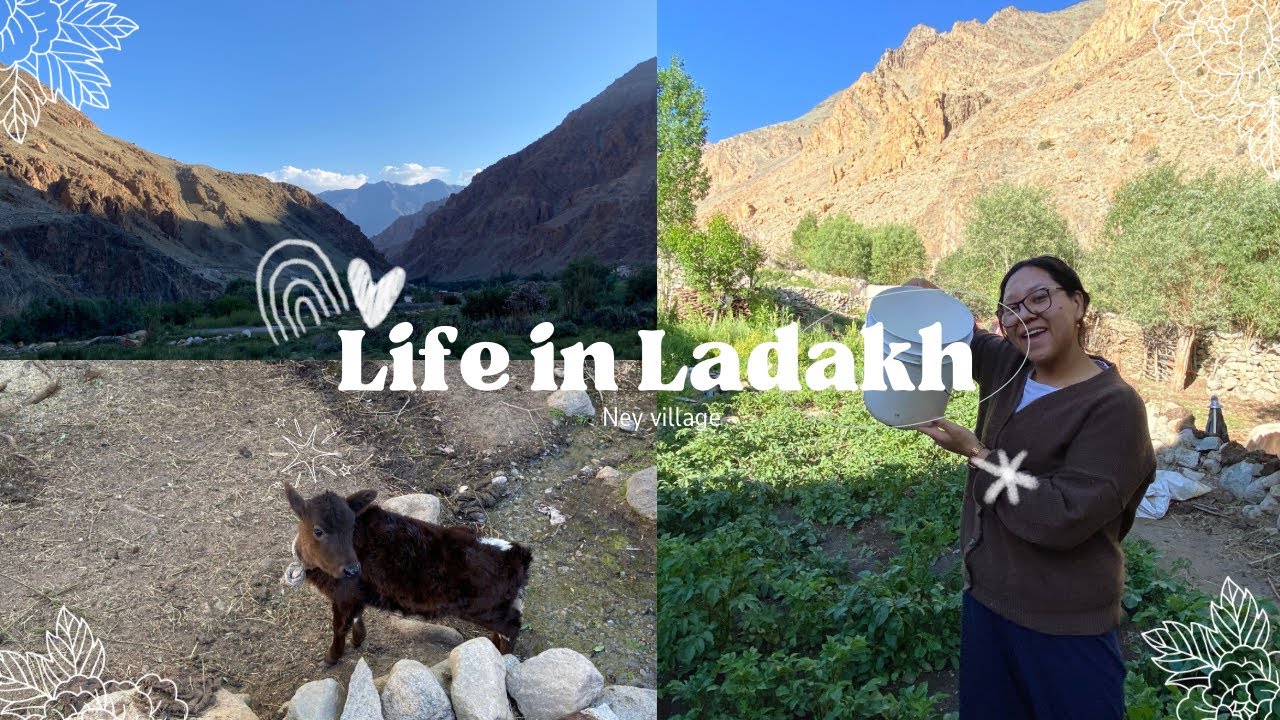 Life in Ladakh  🏔️🍃| Ney Village