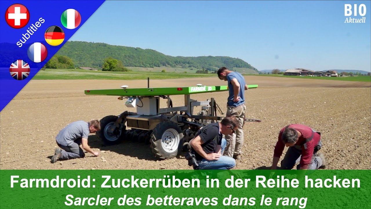 Erfahrungen mit dem Feldroboter Farmdroid FD20: Zuckerrüben säen und hacken in der Reihe