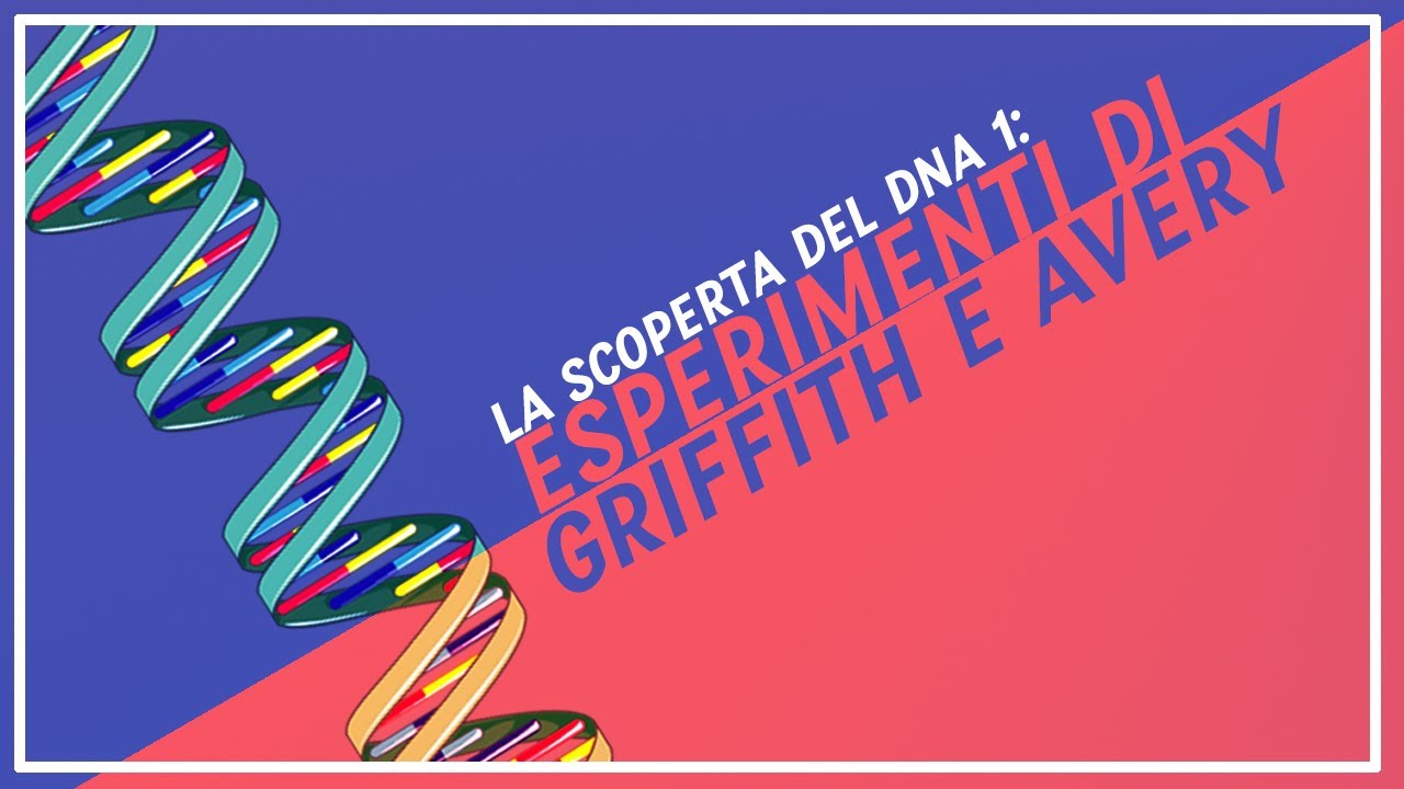 Esperimenti di Griffith e Avery | Pillole di Scienza