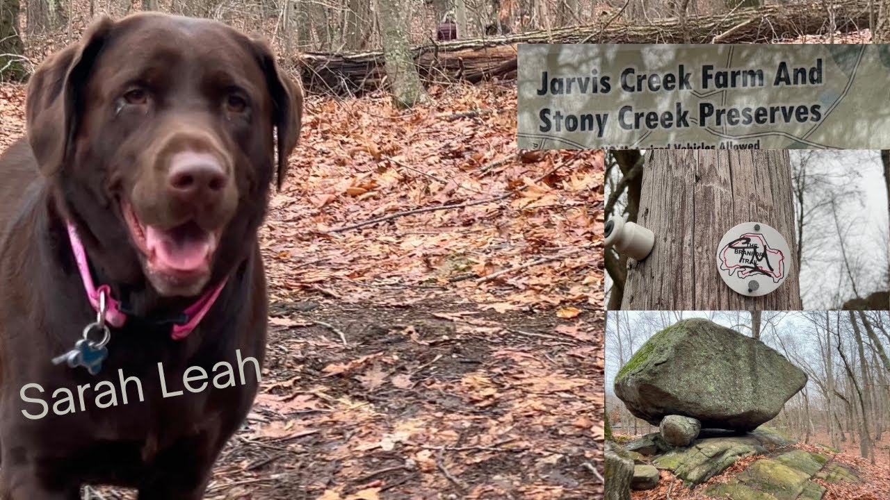 Jarvis Creek Farm Open Space Walk | Branford Land Trust Trails