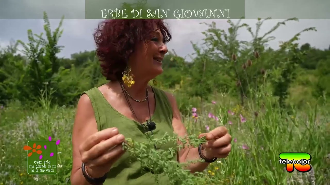 Ogni erba che guarda in su ha la sua virtù - erbe di San Giovanni