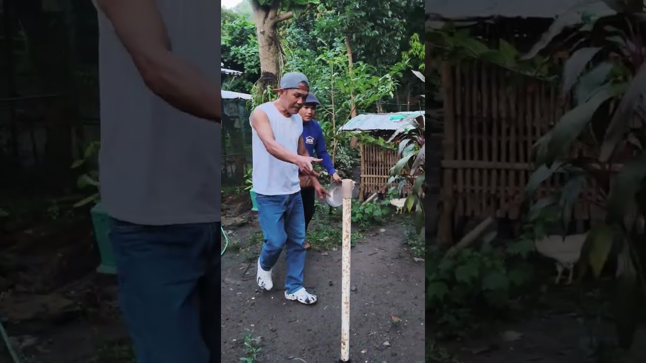 Bakal bote at Ang manghuhula