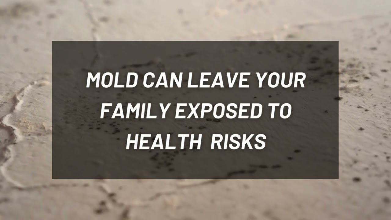 Southern Maine Mold Removal and Restoration | RestoPros of Southern Maine