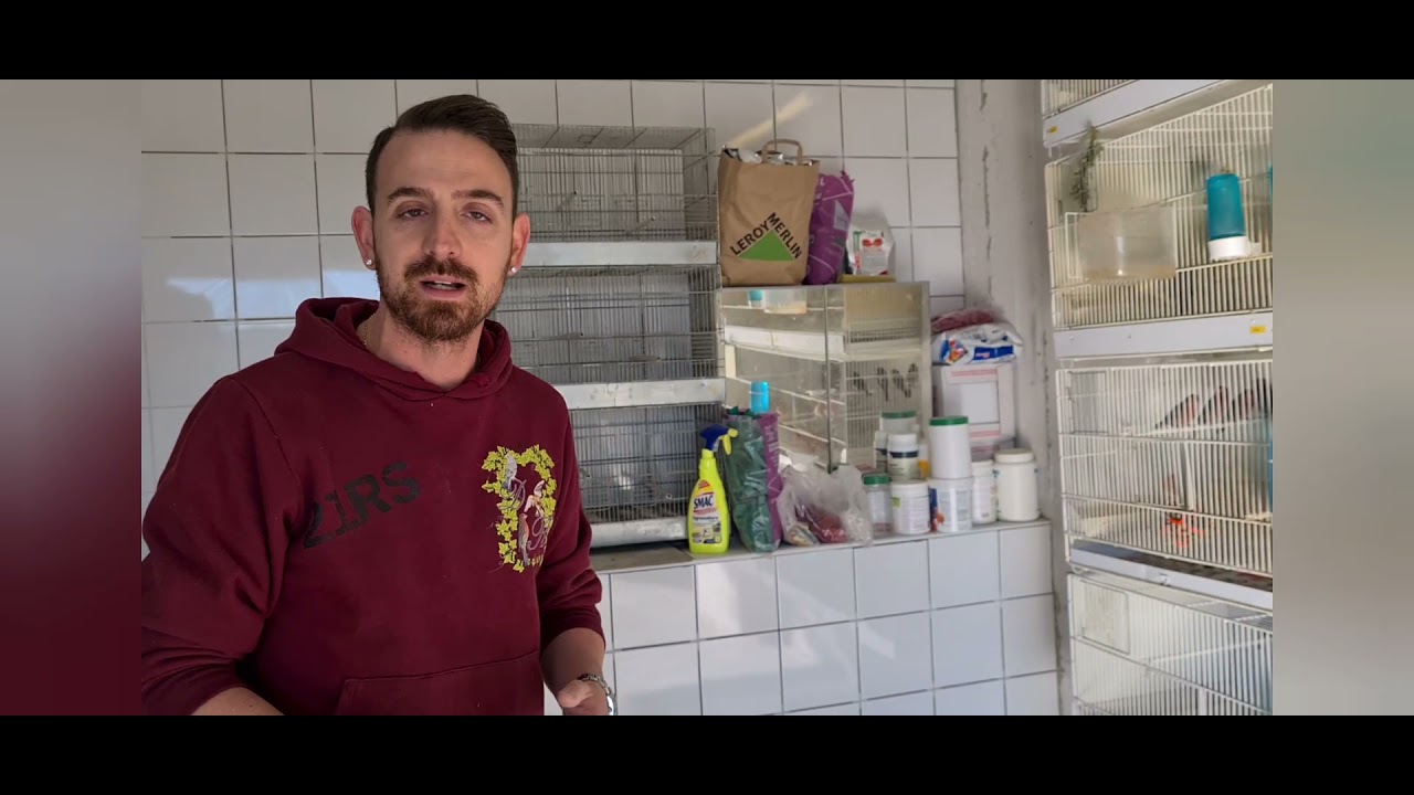 Unifeed