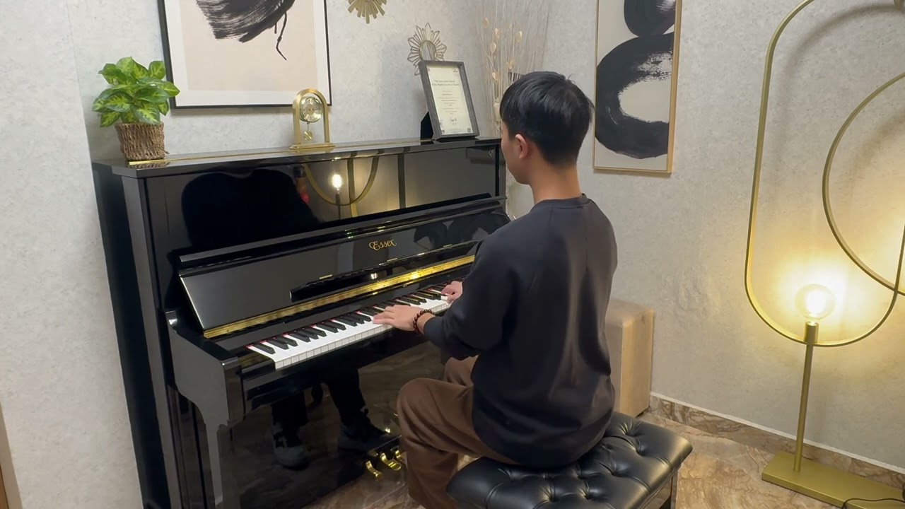 梦中的婚礼-Mariage d'Amour piano- Richard Clayderman