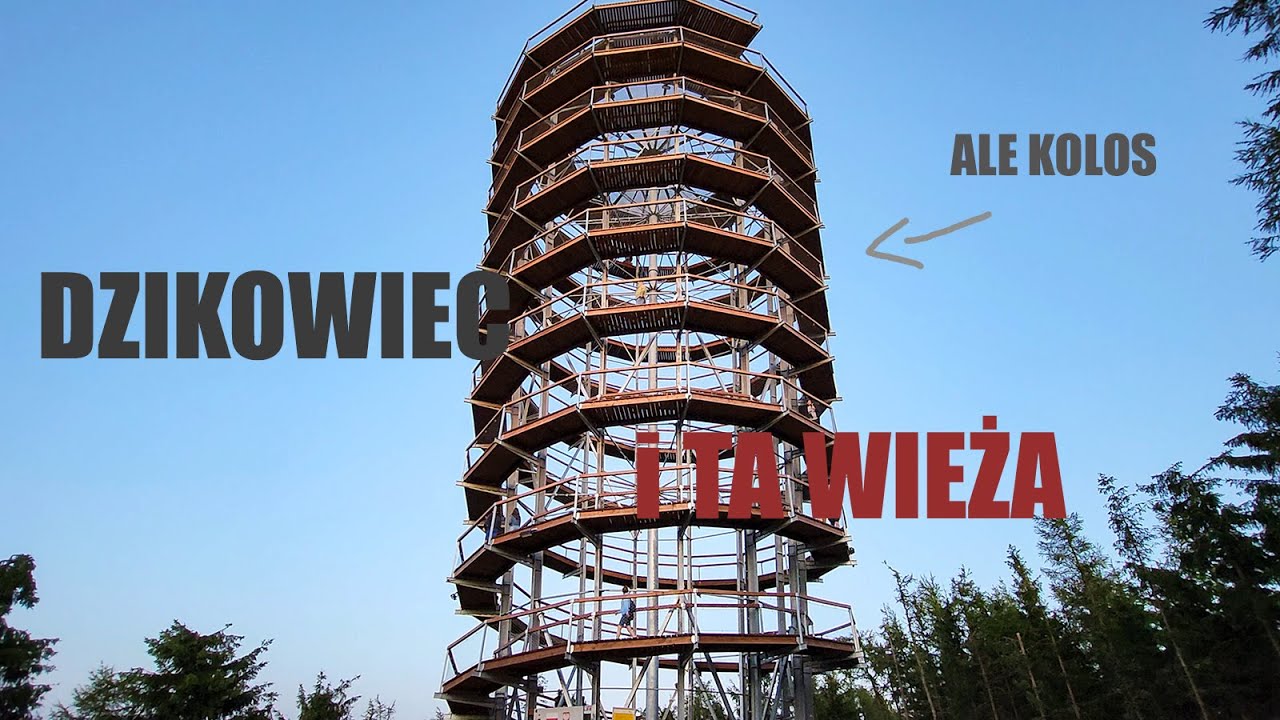 Dzikowiec - Szlak na szczyt i wieża na szczycie