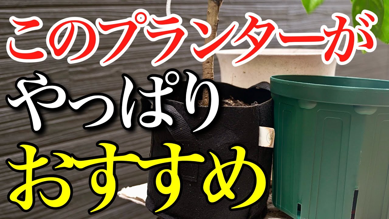 【結局これが良い】お金を無駄にしないために、おススメのプランターをご紹介します