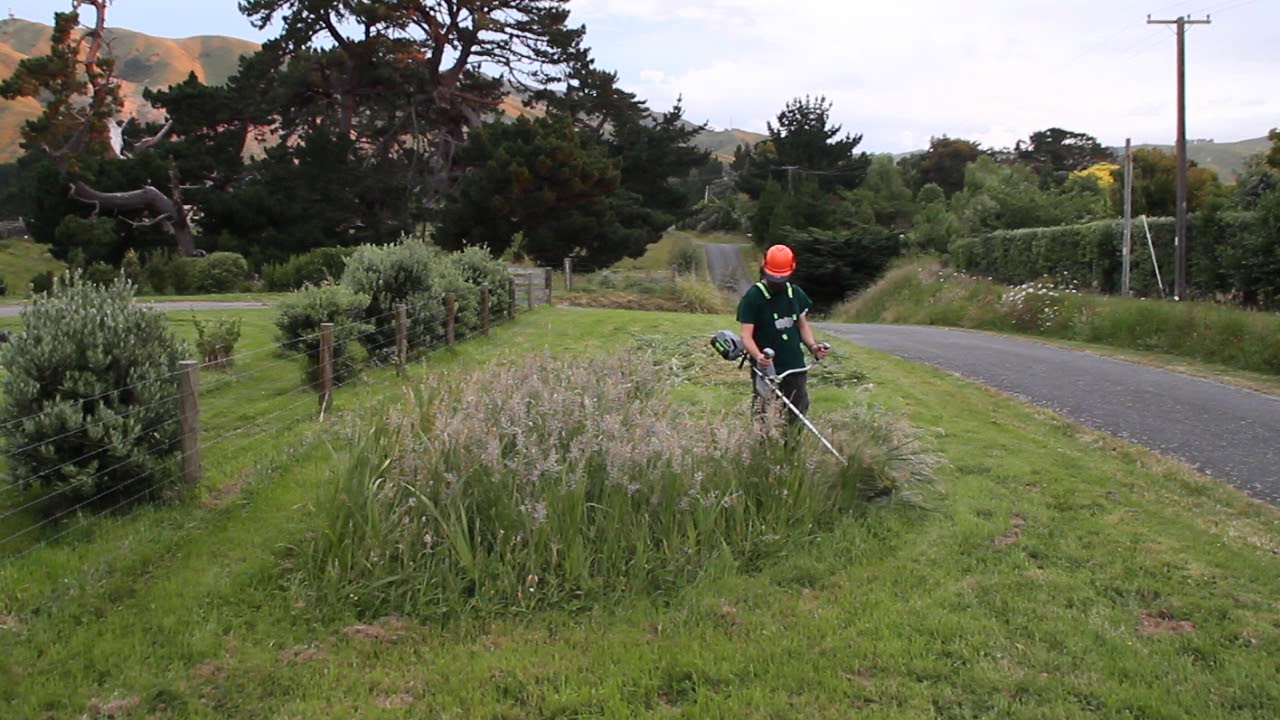EGO Power+ BC3800E brush cutter tackles tough irises
