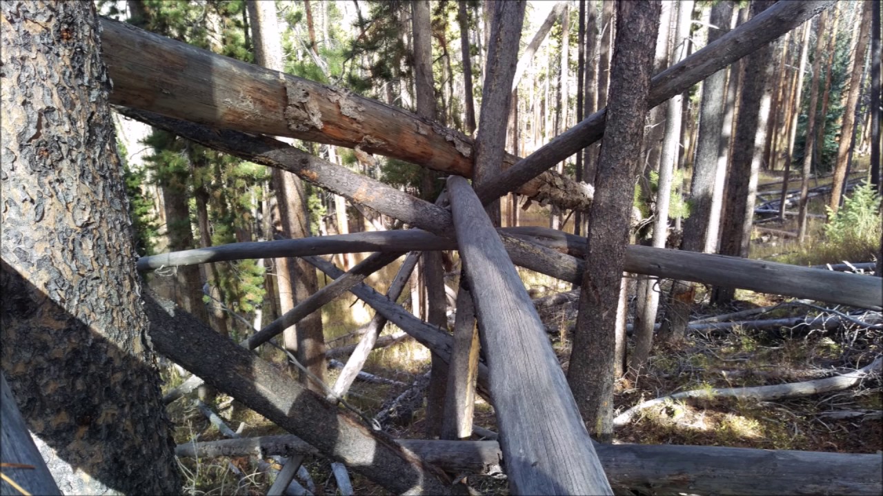 Some The Best Sasquatch/Bigfoot Structures ever seen