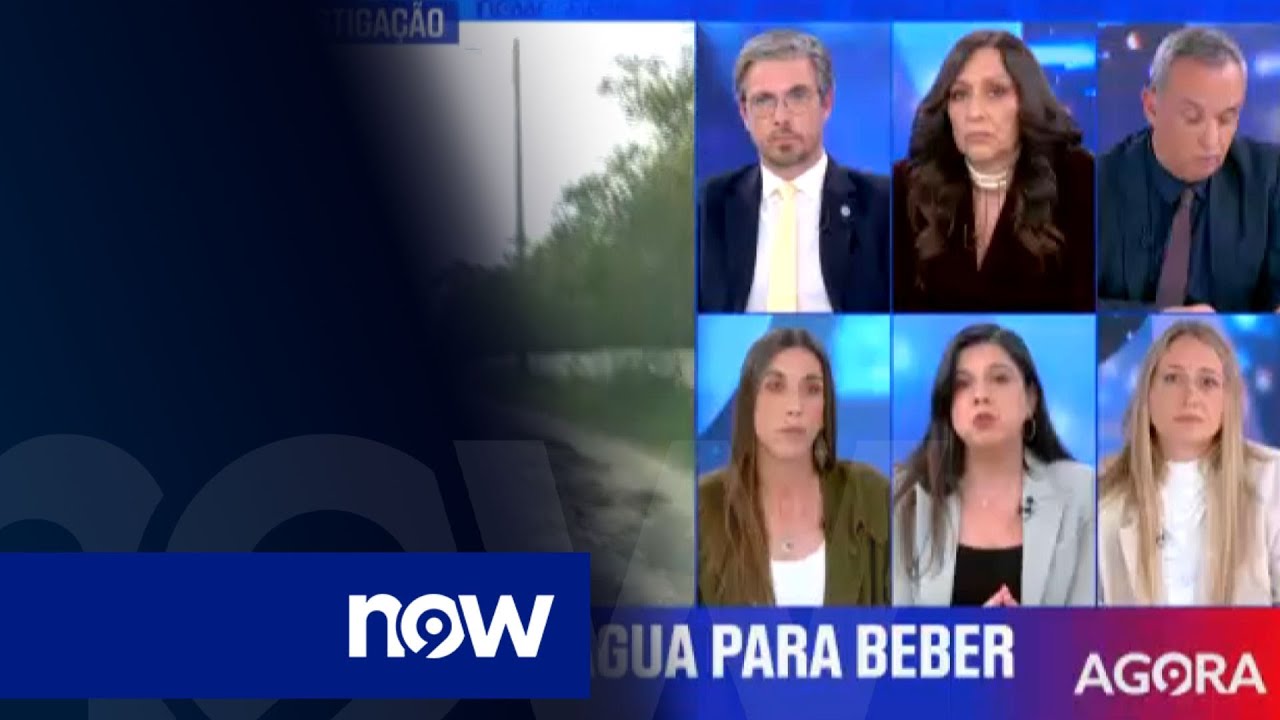 Repórter Sábado: Debate sobre cavalos vítimas de maus tratos na herdade do Pessegueiro (2ª parte)