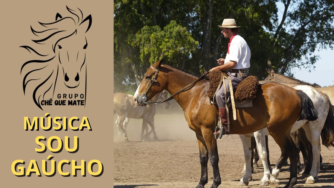 SOU GAÚCHO  MÚSICA GAUCHA INÉDITA | GRUPO CHÊ QUE MATE #gauchoraiz