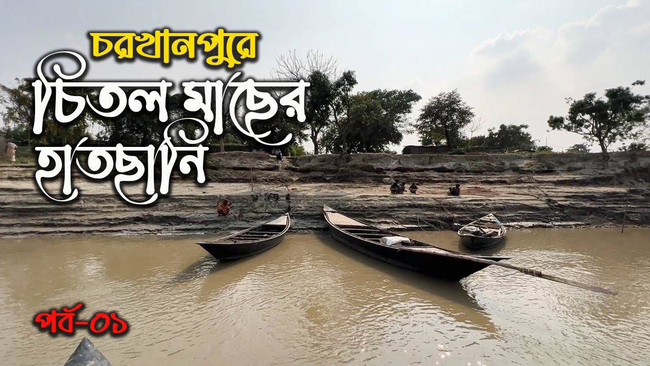 পদ্মা নদীর চিতল মাছের টানে চরখানপুরে || Char Khanpur, Ep 01 || Chitol Fish
