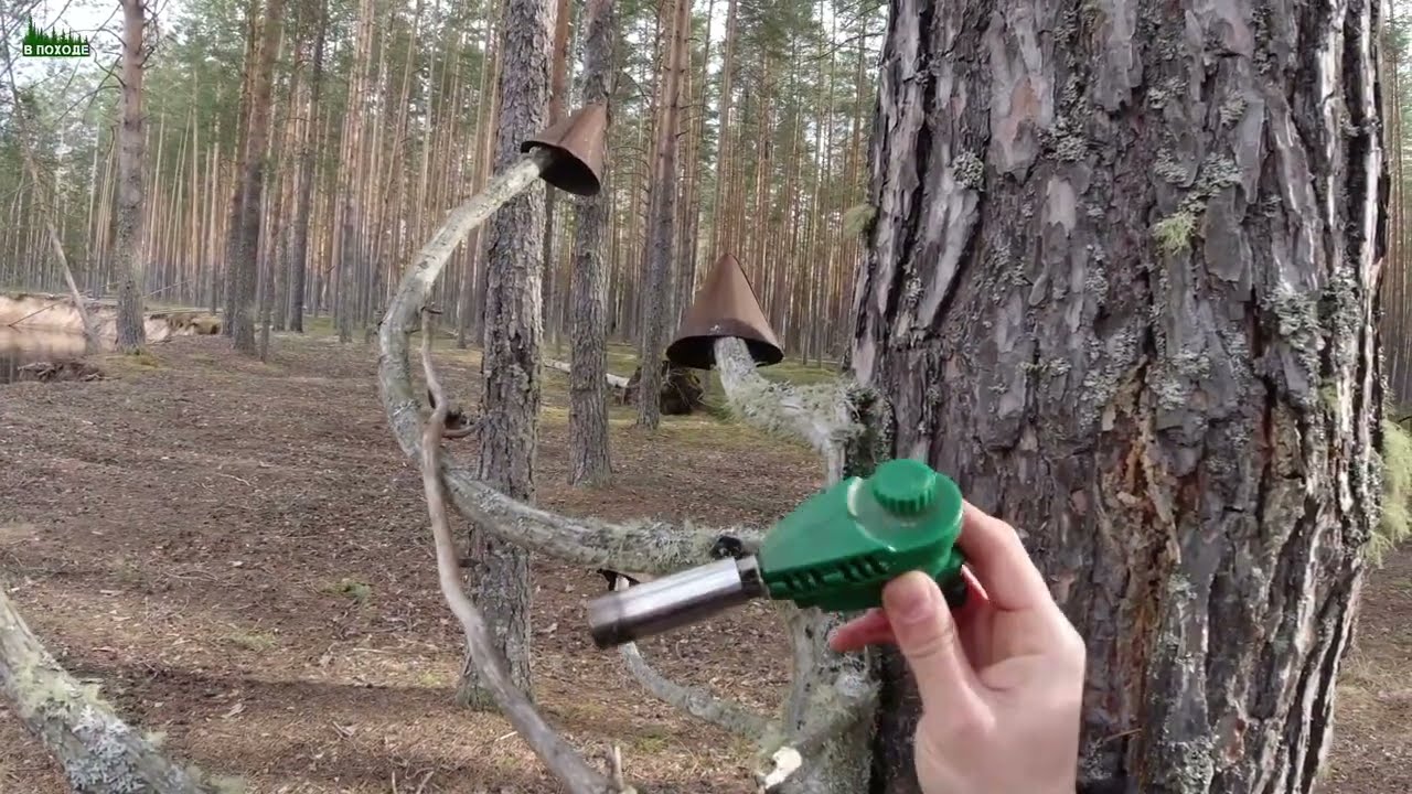 Сплав по рекам Большая Какша и Ветлуга