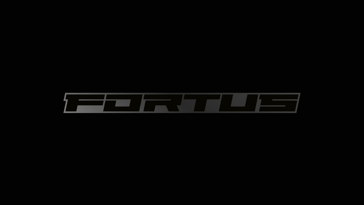 Технология надежды: колеса Fortus