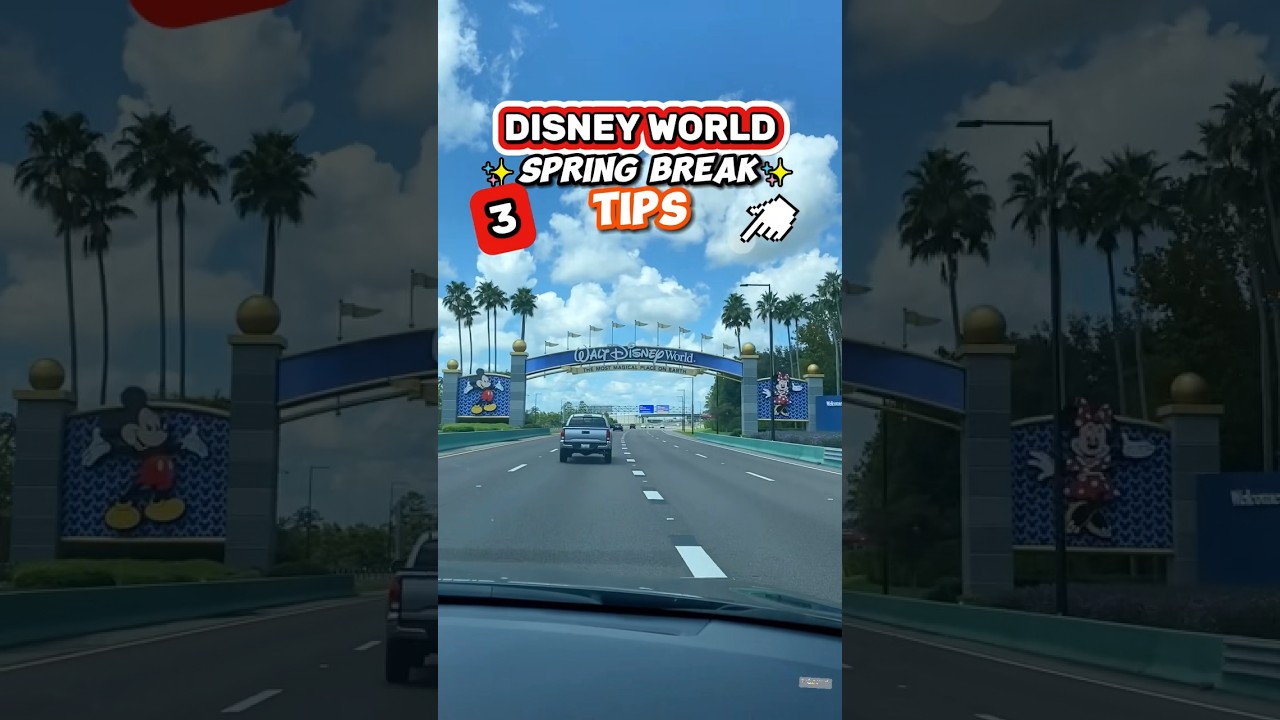 3 Disney World Spring Break Survival Tips 👀😮 (Do This in the Parks)