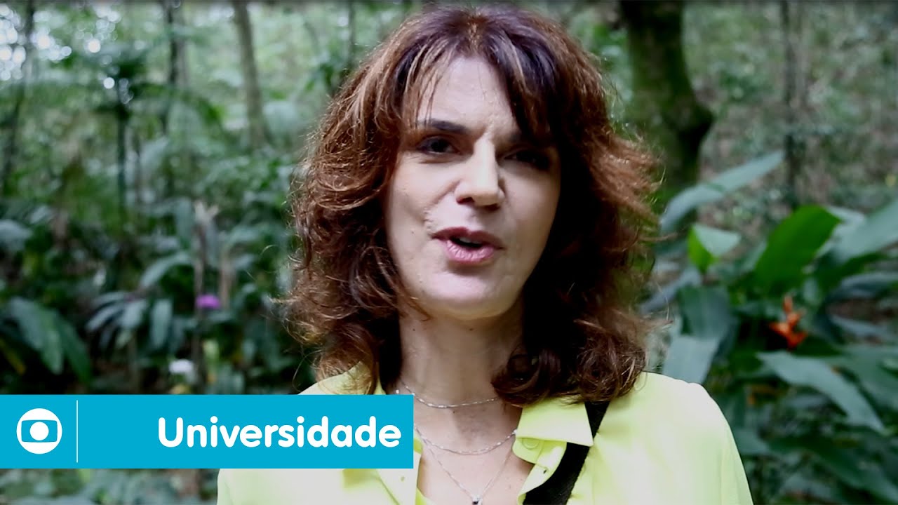Chegue Mais Perto: L&iacute;cia Manzo d&aacute; dicas para futuros roteiristas
