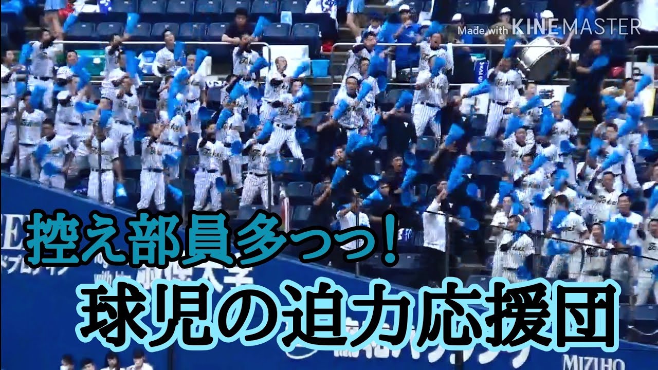 【東海大市原望洋】ベンチ野球部員大勢の野太い大声援