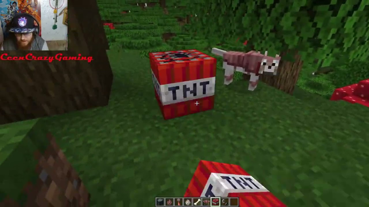 Minecraft Snapshot Review 24W06A - New Armadillo Animations, Dog Health Overhaul, New Vault Texture