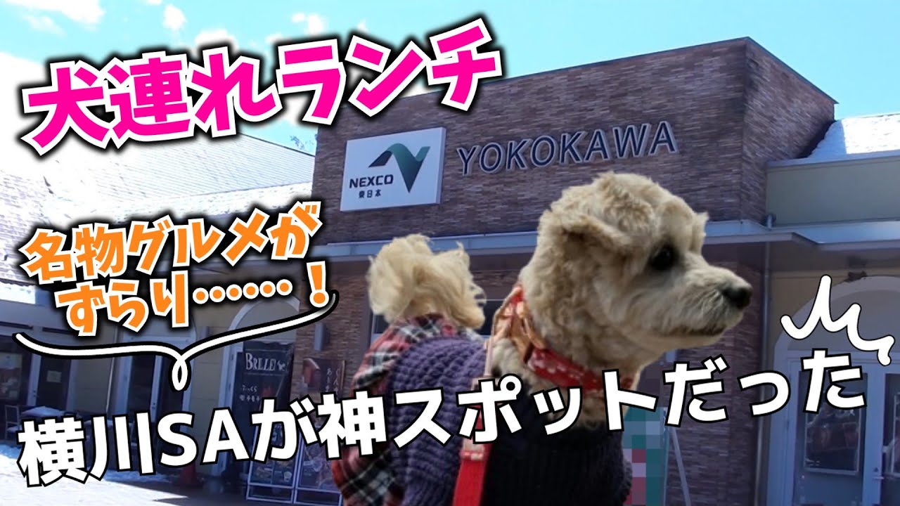 【犬連れランチ】犬連れにオススメ横川サービスエリア下り #上信越自動車道 #峠の釜めし #群馬県 #横川SA下り #犬連れランチ
