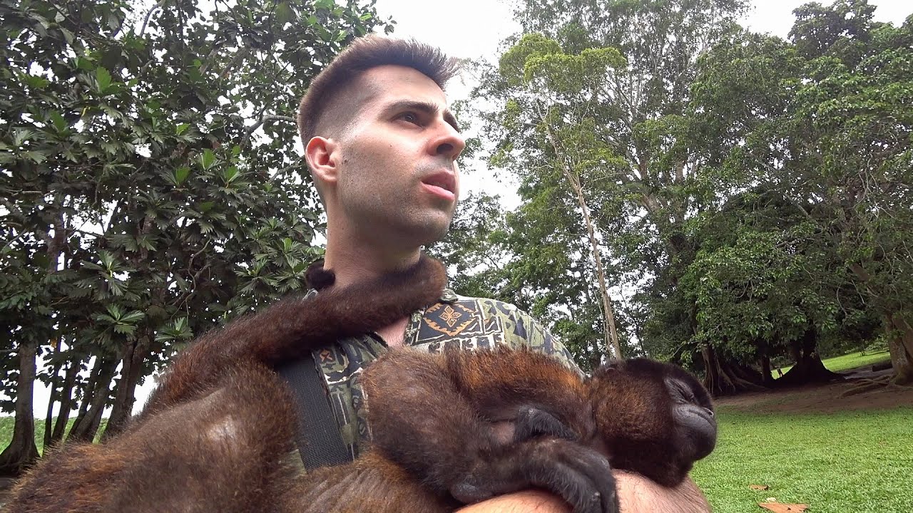 Rescuing Trafficked Animals in the Amazon Jungle 🇵🇪