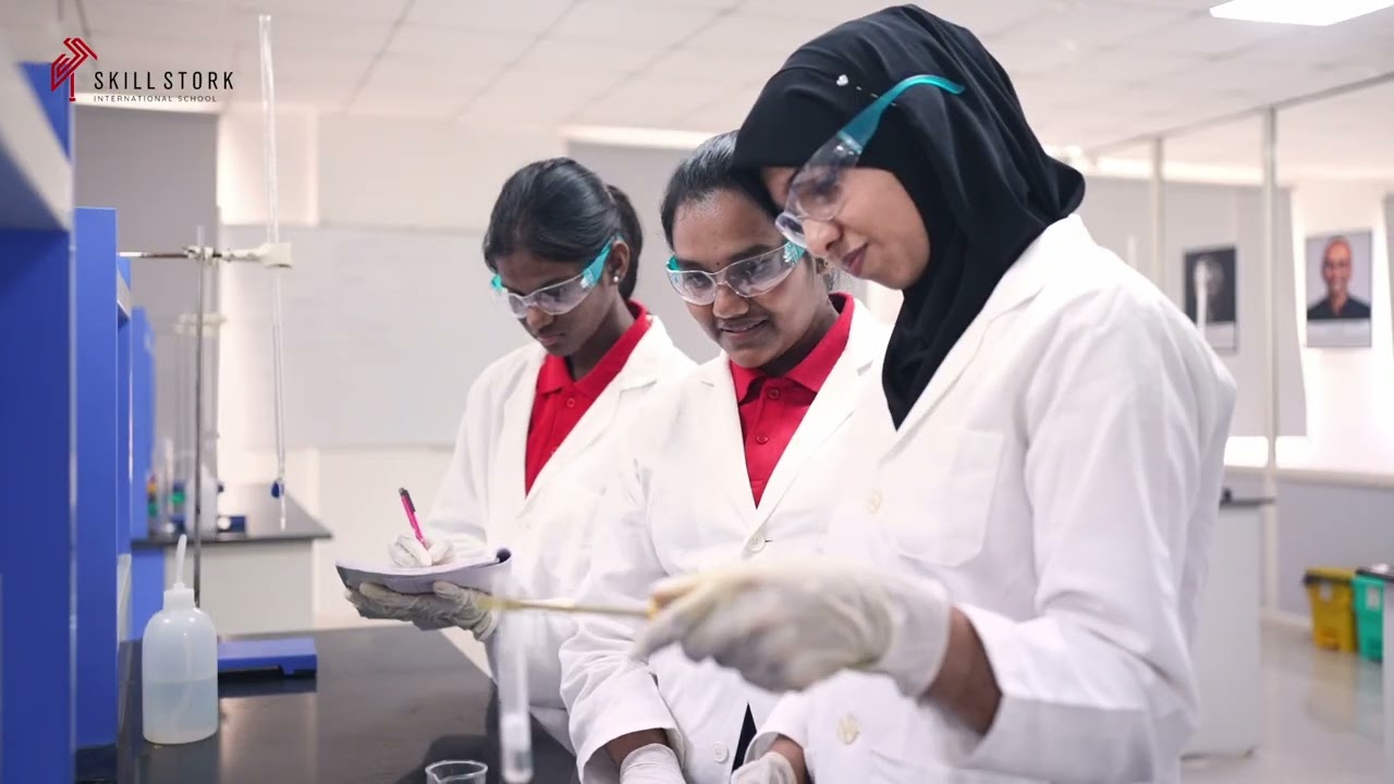 Skill Stork - Senior Secondary Programmes - Detailed Information