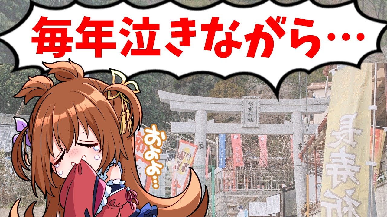 【vlog】結婚したので7年通った恋愛最強神社にお礼参りに行く【神戸】