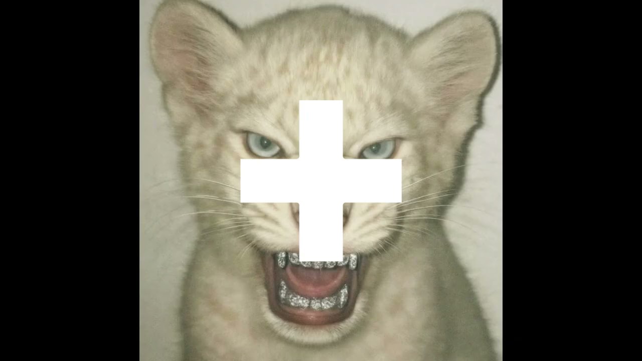[FREE] White Tiger - 2hollis + nate sib - Dark Hyperpop Type Beat