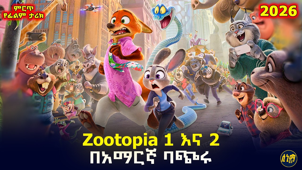 ትንሿ ጥንቸል እና ተንኮለኛው ቀበሮ ከተማዋን ከጥፋት አዳኗት 🐰🦊 | የፊልም ታሪክ ባጭሩ (በድጋሚ የተለቀቀ)