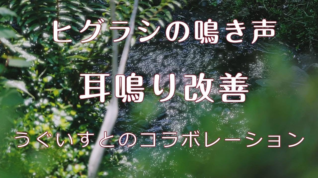 【耳鳴り治療音】耳鳴りに効果大 ヒグラシの鳴き声とうぐいすとのコラボレーション