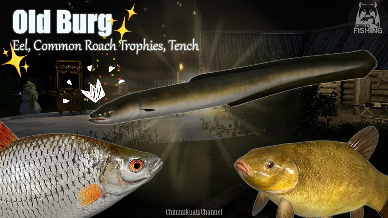 (RussianFishing4) Finally I Got Eel!! Also many Tench and Common Roach Trophy