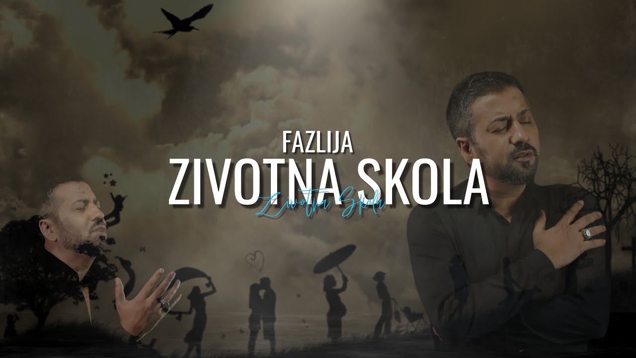 Fazlija - zivotna skola (2014)