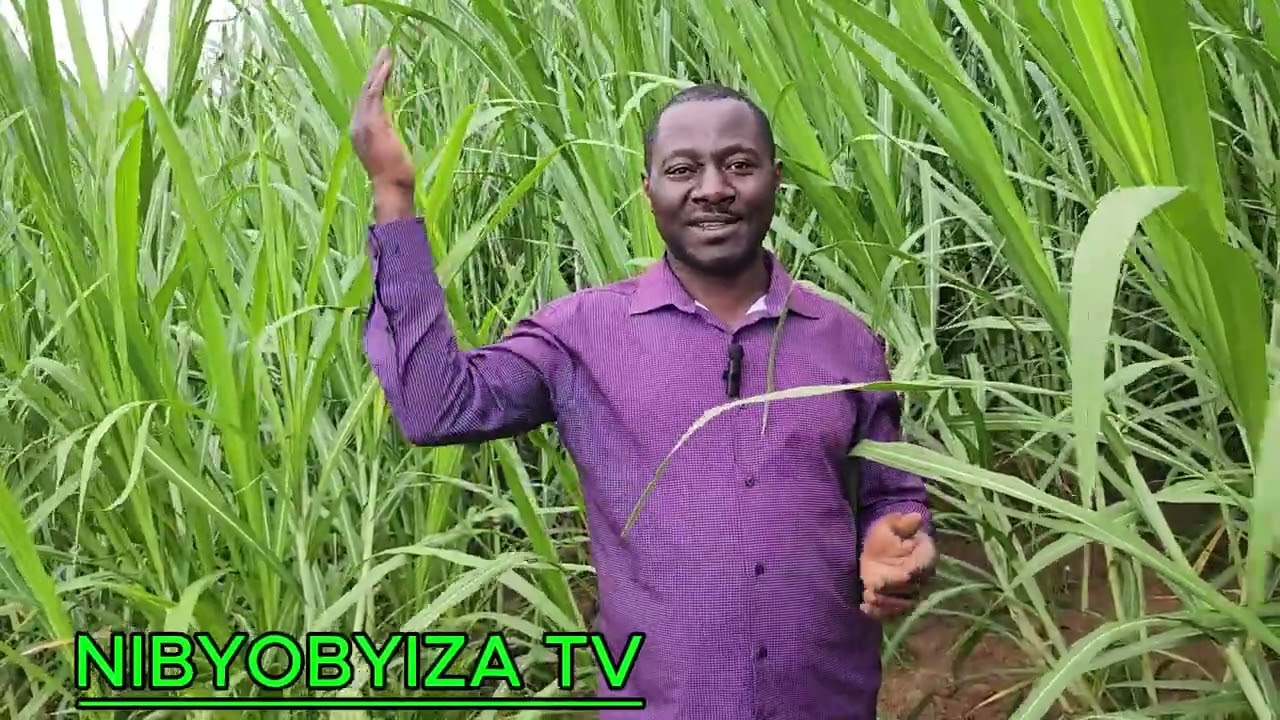 TANDUKANA NO KUGURA IBIRYO BY'AMATUNGO BIHENZE!!| HABONETSE URUBINGO RUFITE INTUNGAMUBIRI ZOSE!!