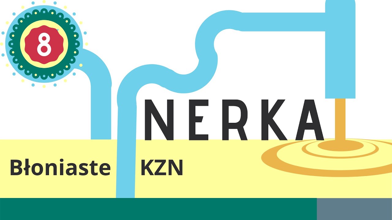 Nerka 8: Błoniaste KZN