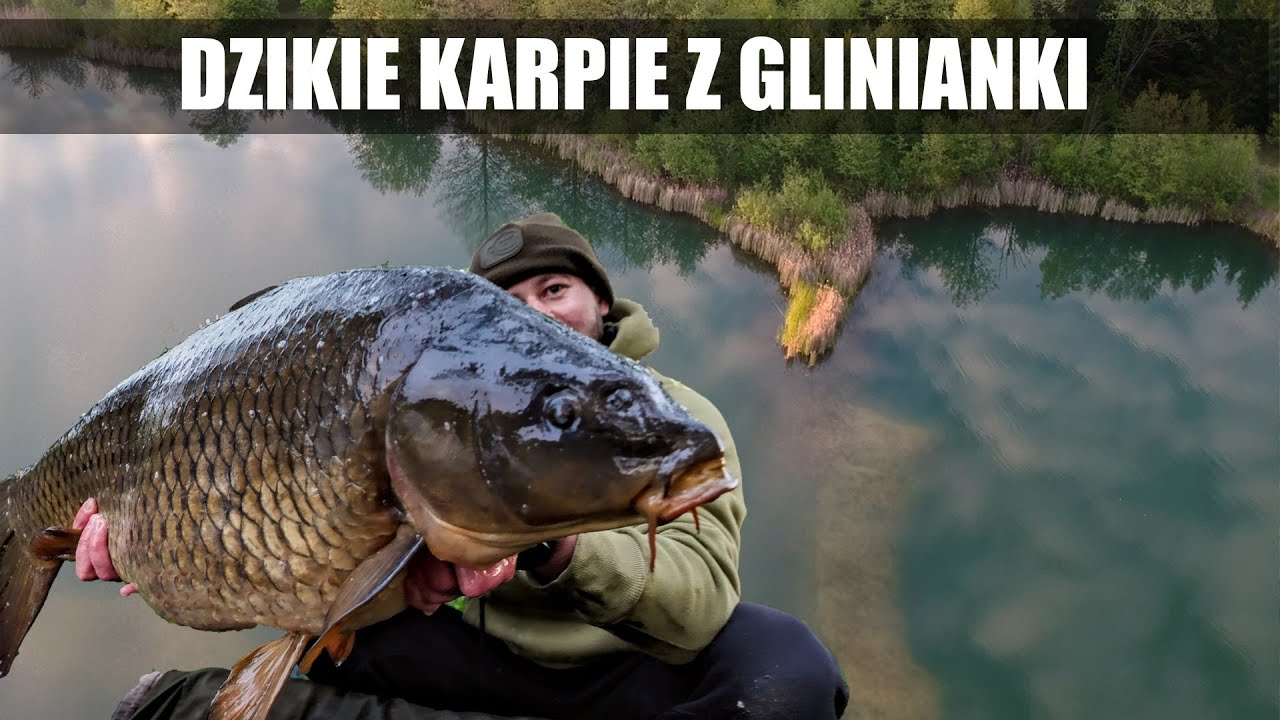 2M1 KARPIE Z GLINIANKI PZW
