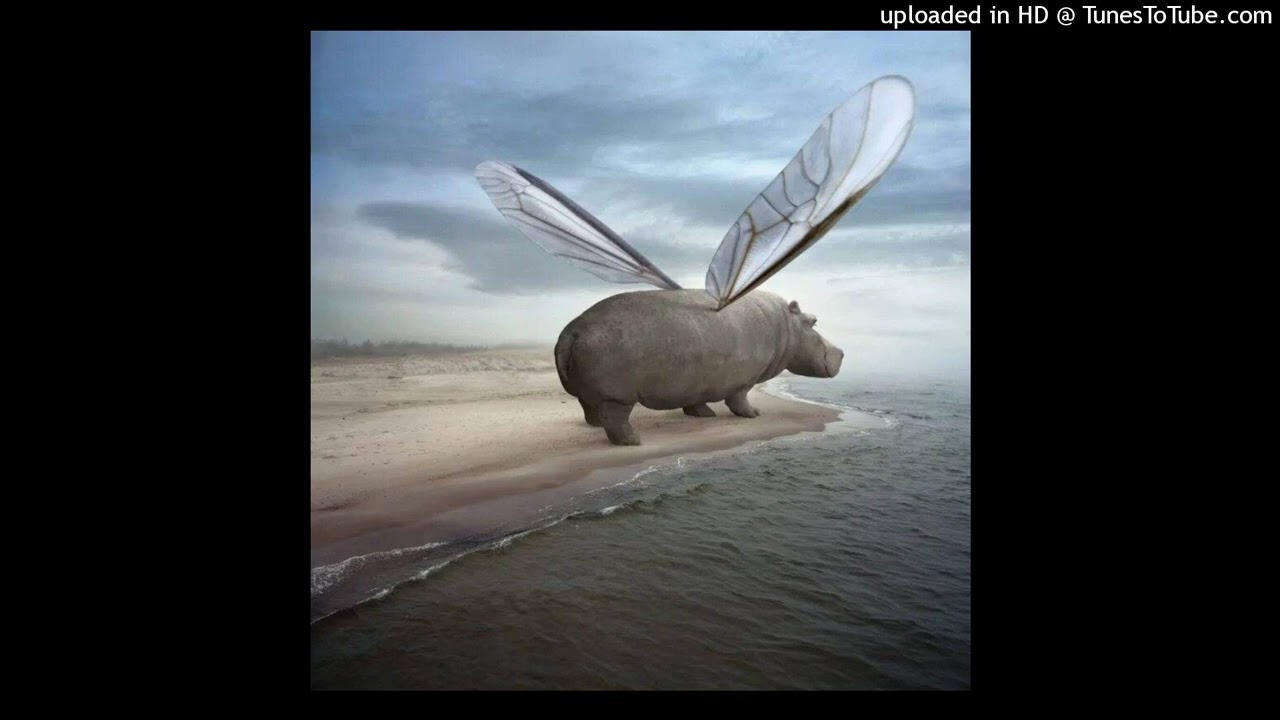 free bleood x boolymon x che type beat