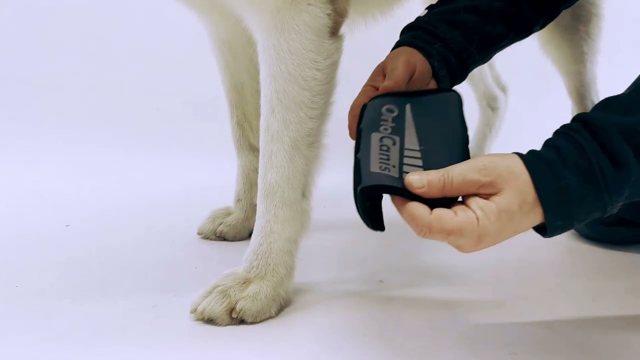 ✅ Carpal wrap Ortocanis | arthrosis, arthritis, and injuries in ligaments, tendons and muscles