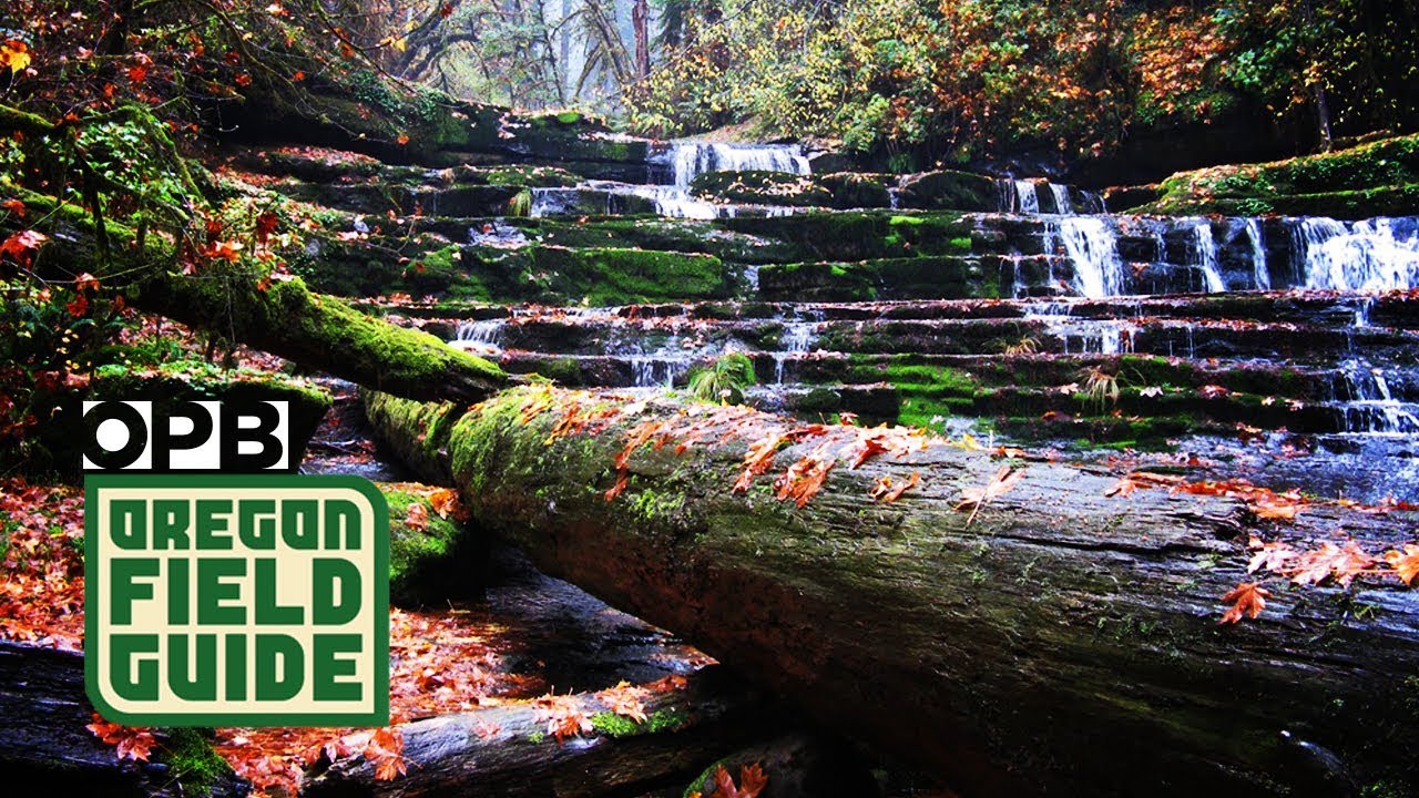 The Devil’s Staircase: A Torturous, Joyous Hike | Oregon Field Guide