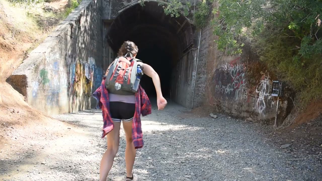 Going on a Bear Hunt