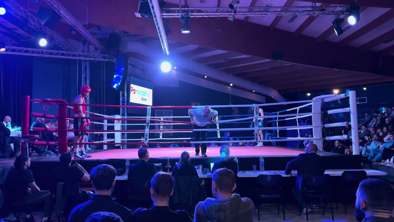 Lion Boxe 999 090