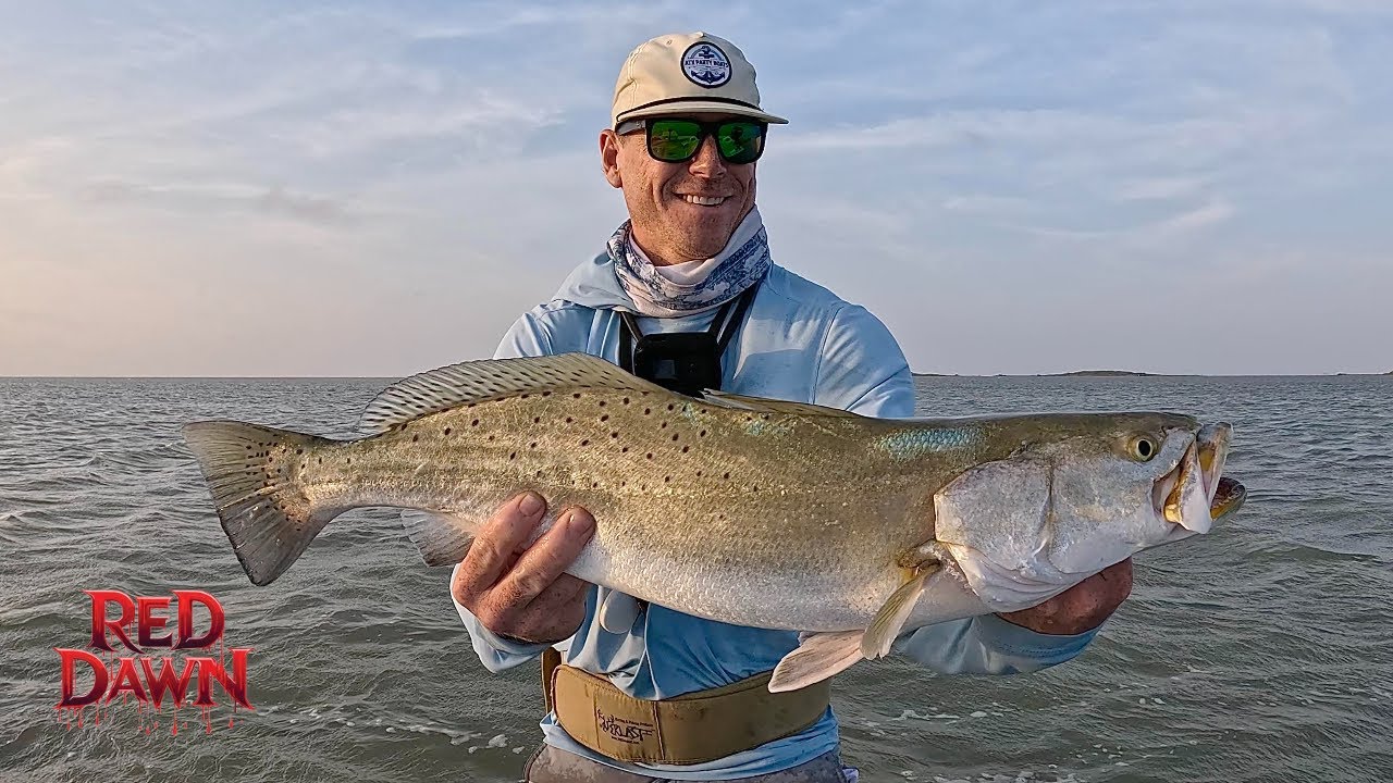 Black Drum on Fly and Bonus Sunset Trout
