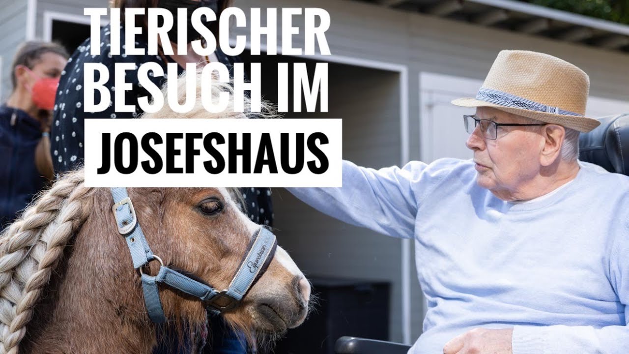 Wie Pferde, Kaninchen und Hunde das Leben im Altenheim versüßen