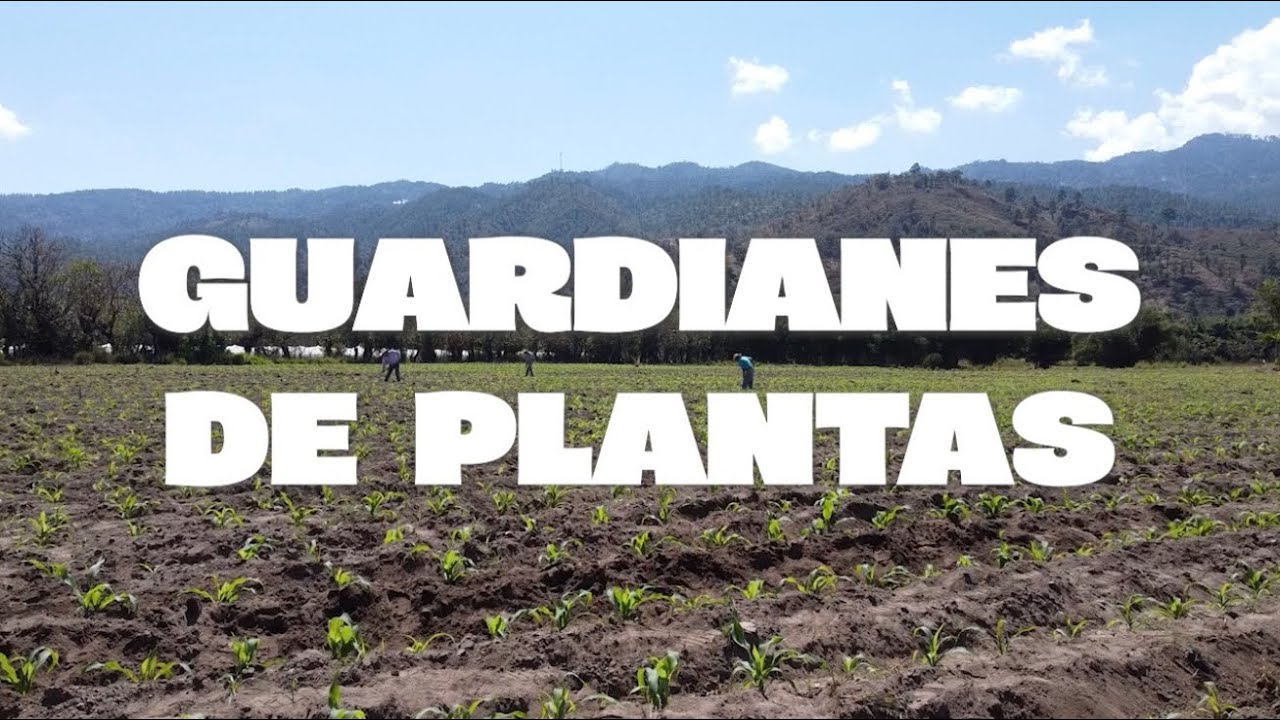 Guardianes de plantas 
