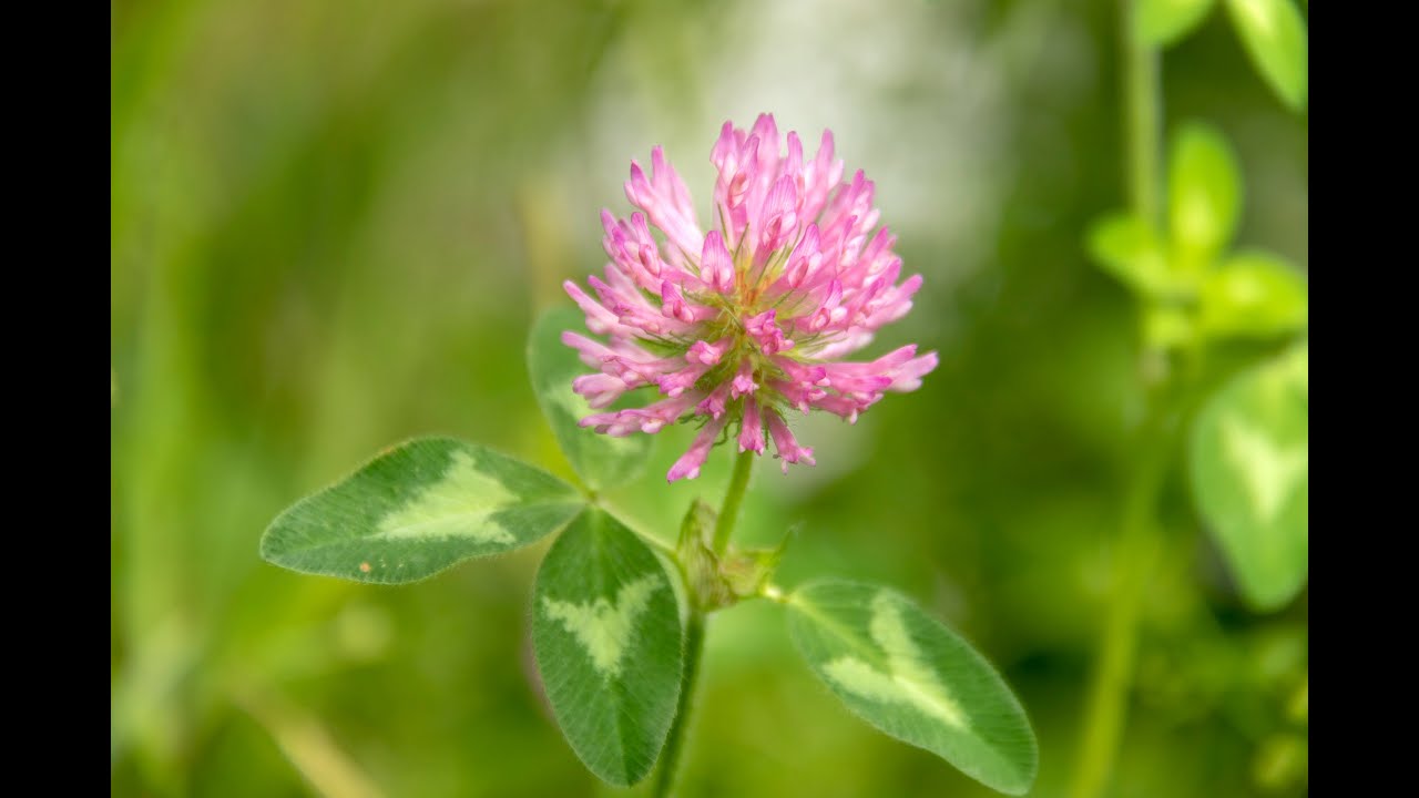 Dynamic Accumulators Presentation - Unadilla Community Farm