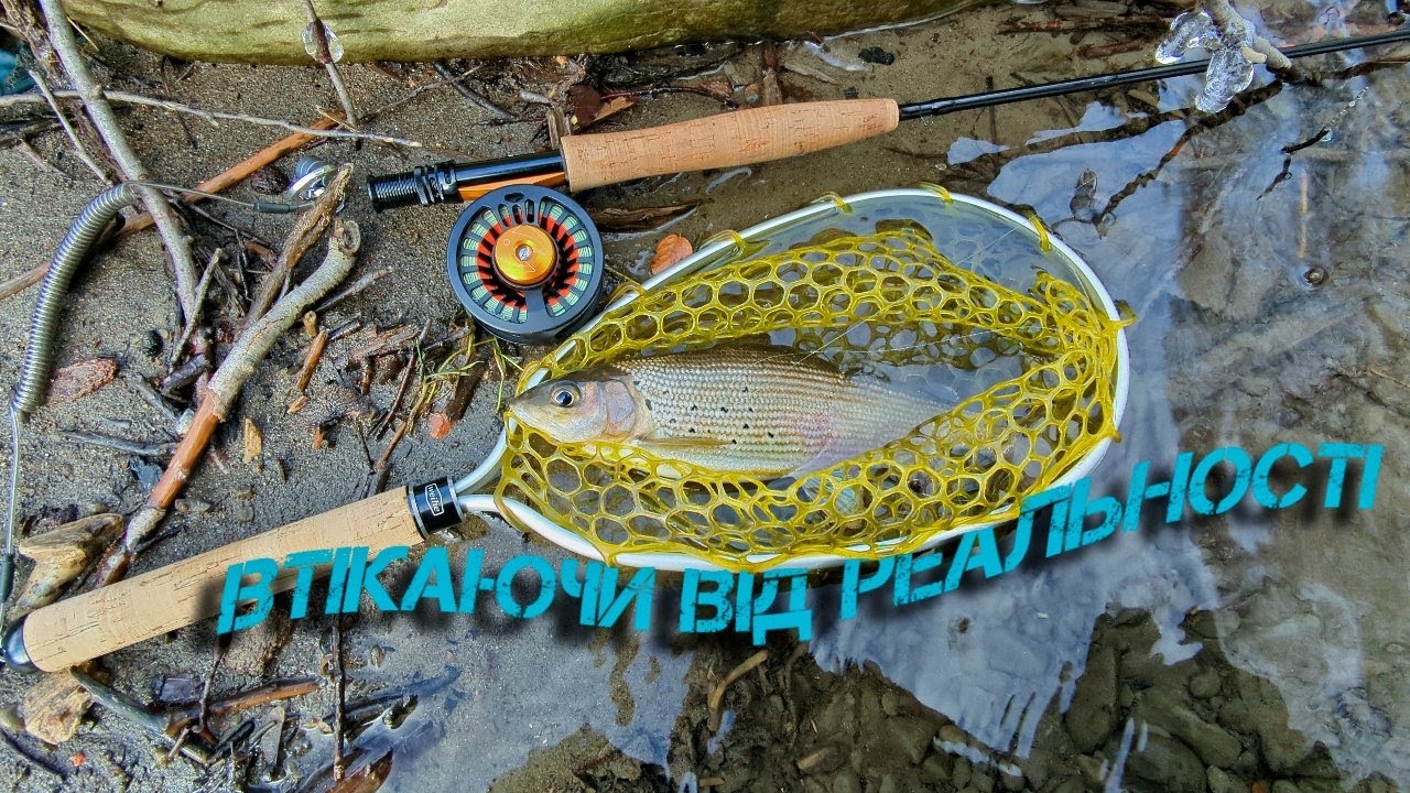 ~Втік у Карпати на рибалку на харіуса — і не хочу повертатись